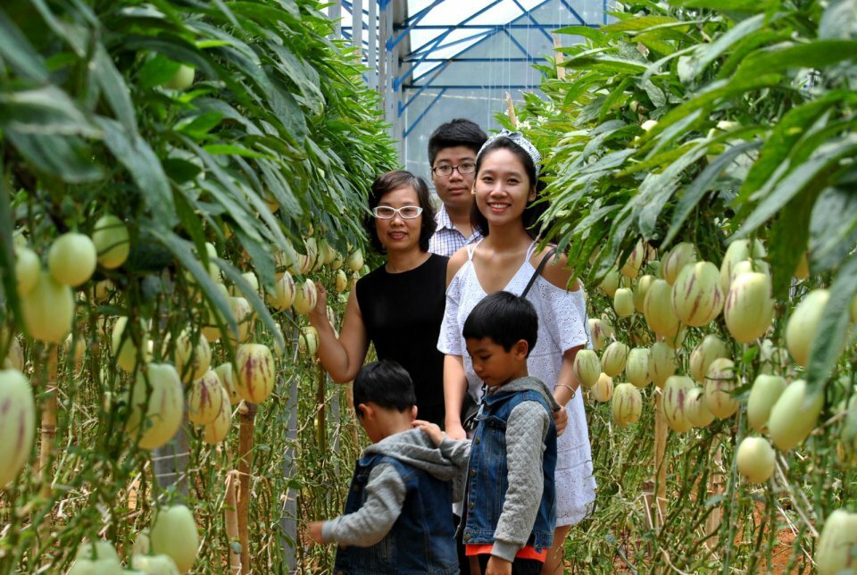 Tour Sài Gòn Đà Lạt 2 ngày 1 đêm - Trọn gói 1.000.000đ
